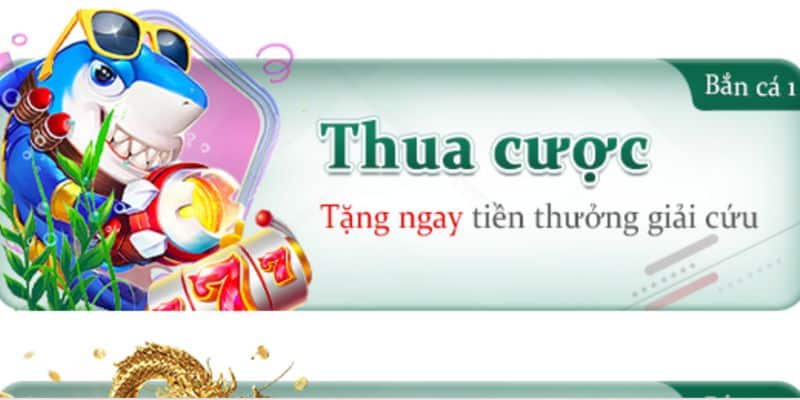 Nhận tiền giải cứu khi thua cược